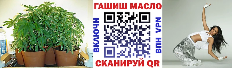 Купить закладки  Бологое  ТГК вейп 